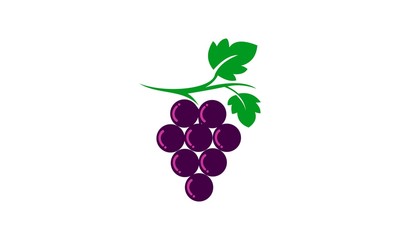 fresh grape fruit logo vector