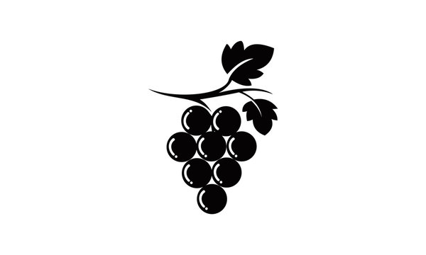 silhouette grape vector logo