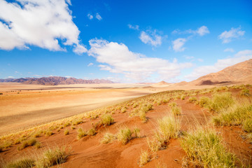 Namib desert landscape