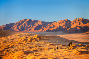 Family in Namib desert