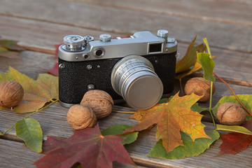 Still life autumn mood picture with vintage rangefinder camera, leather holster, leaves and nuts on...