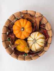 Flatlay of decoration of autumn colored leaves, gourds and pumpkin