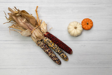 Autumn Scene with corn, pumpkin, gourd
