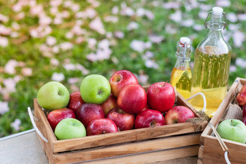 Many fresh apple in the wood box at garden - photo