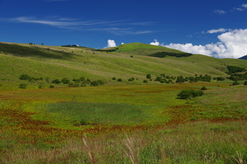 Highland wetlands and green hills