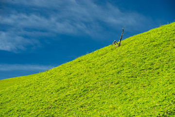Vibrant green hills and blue sky_C