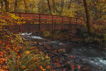 Footbridge over flowing creek in magical autumn forest