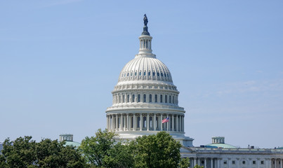 Naklejka premium Capitol Building in Washington DC, USA
