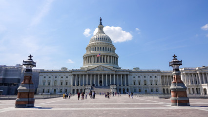 Fototapeta premium Capitol Building in Washington DC, USA