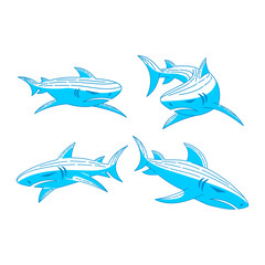 Shark logo Mascot design Outline set illustration template