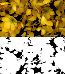 3D illustration of a yellow flower petals flow with alpha layer