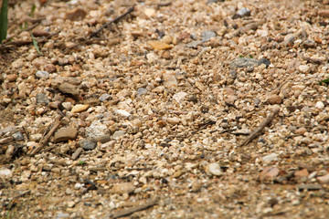 sand texture with stones for canvas background