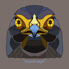 Serpent eagle Bird Coloring.