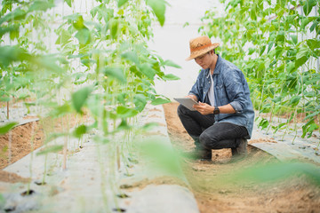 Smart farming, using modern technologies in agriculture. Man agronomist farmer with digital tablet computer in green house of melon farm.