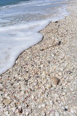 Ocean wave on the sea shell beach
