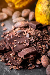 Dark chocolate pieces crushed and cocoa beans, top view