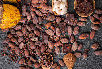 Dark chocolate pieces crushed and cocoa beans, top view