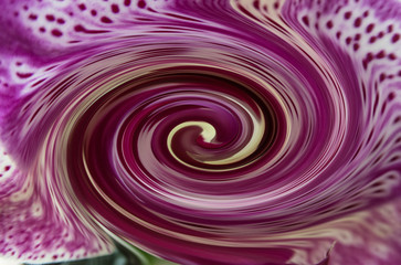Purple Swirl with Spotted Edges