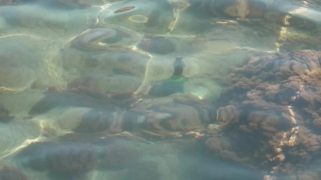 Green Wine Bottle underwater in beautiful sandy and full of colar sea. Oean pollution.