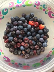 blueberries and raspberries