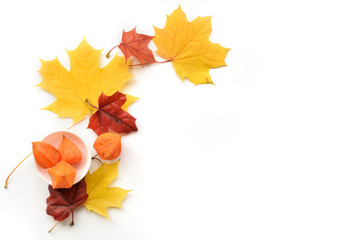 Autumn composition of frame of maple leaves and physalis. Flat lay, top view
