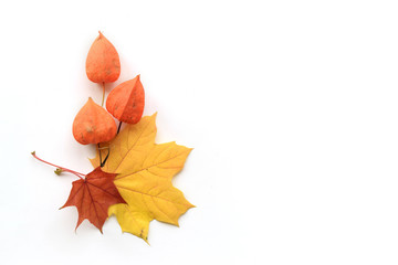 Autumn composition of frame of maple leaves and physalis. Flat lay, top view