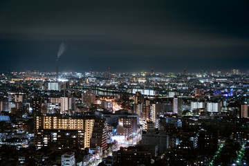 Fototapeta na wymiar Tokyo cityscape, Japan