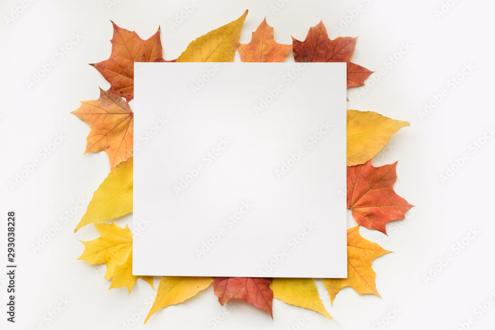 Wall mural autumn composition of maple leaves and square white paper. flat lay, top view