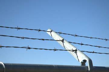 barbed wire on background of blue sky
