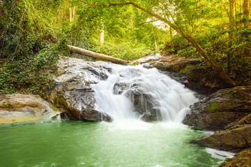 waterfall in the forest