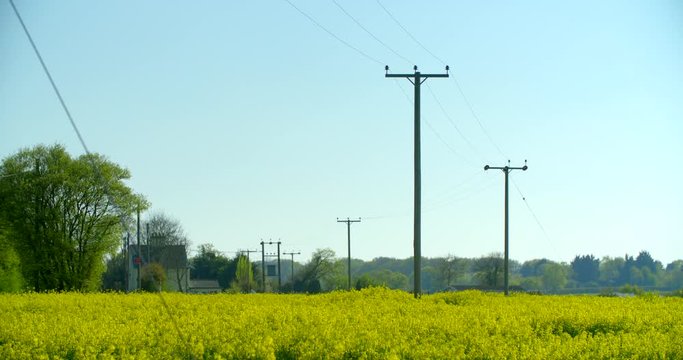 Telephone spanning over a rapeseed field towards cluster of houses on a sunny day in England.