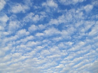 group of clouds which similar to cotton ball  in the sky during morning / sunrise in Fall season