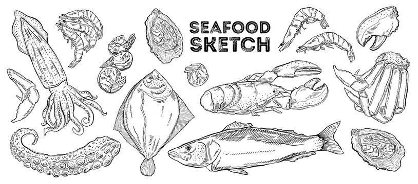 Seafood sketch set. Hand drawing cuisine. All elements are isolated in white background.