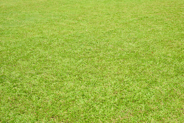green grass texture of soccer field