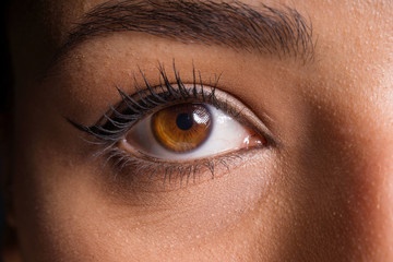female eye and brow with natural makeup close-up detail photo