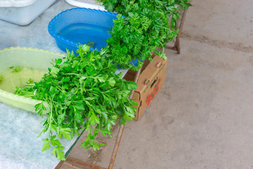 fresh parsley spices on the market counter