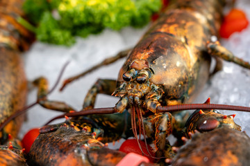 Sea fresh lobster at street market in Thailand. Seafood concept. Raw lobster for cooking, closeup