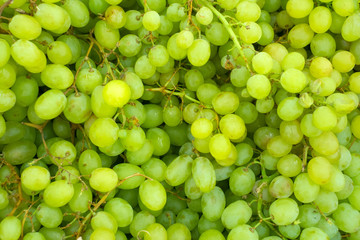 Green grape. Green grapes background.Healthy fruits. Wine grapes.