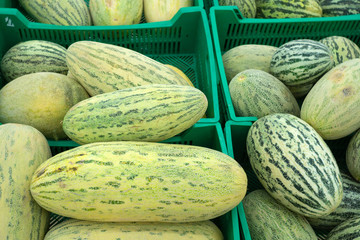 selling melon fruit in the fruit shop