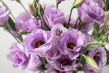 Obraz premium Beautiful Eustoma flowers on white background, closeup