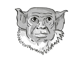pied tamarin Endangered Wildlife Cartoon Retro Drawing