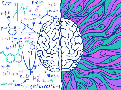 The concept of the human brain is the left and right hemisphere. Analytics and creativity. Vector illustration