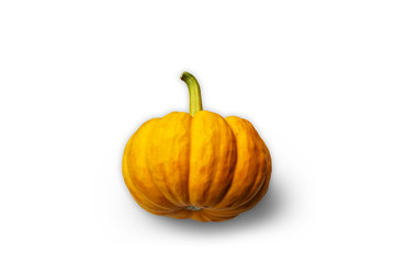 pumpkin isolated on white background