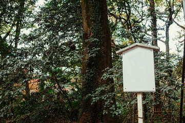 Vintage white Japanese signpost under big tree in forest park.