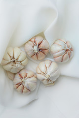 garlic isolated on white fabric background
