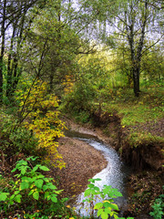 Fototapeta na wymiar Autumn, cliff, stream, colorful trees.