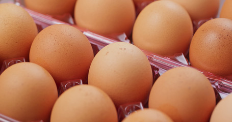 Pack of the chicken egg in rotation