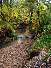 Obraz premium Autumn, cliff, stream, colorful trees.