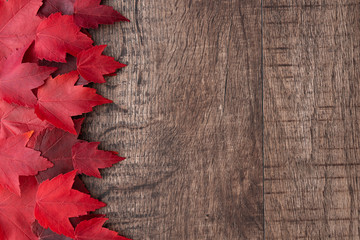 Fall color nature background, red maple leaves on a rustic dark wood background