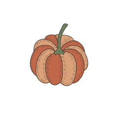 Orange pumpkin. Vector color hand drawn illustration in doodle style